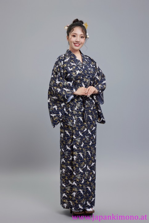 Kimono 6530XXL-XXL