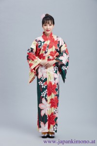 Kimono 8528