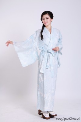 Kimono 3527