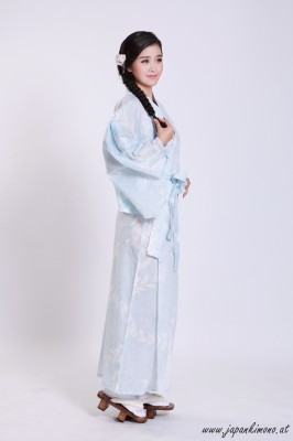 Kimono 3527