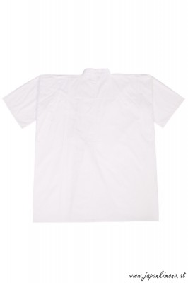 Shitagi (Untergi) 3403