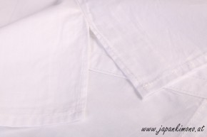 Shitagi (Untergi) 3403