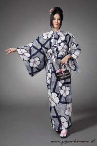 Kimono 4547