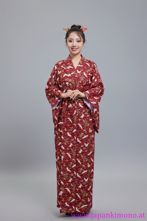 Kimono 6533XXL
