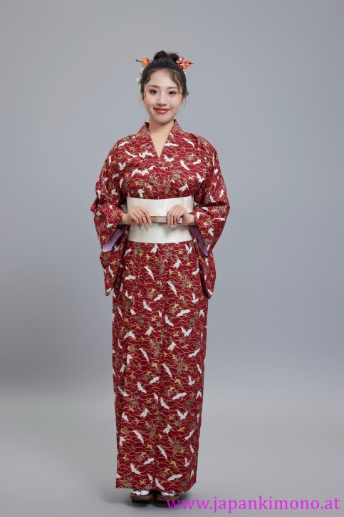 Kimono 6533XXL-L