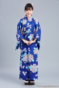 Kimono 3559