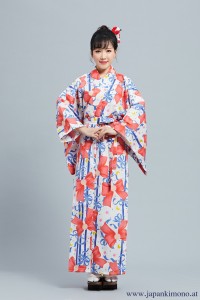 Kimono 8566