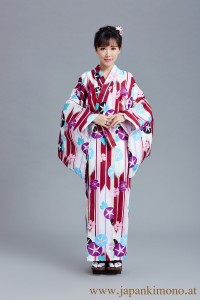 Kimono 6536XXL-L