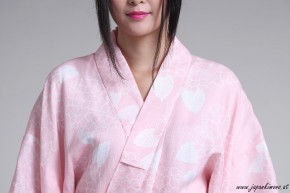 Kimono 4501