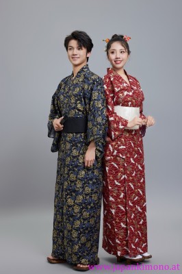 Kimono 6533XXL