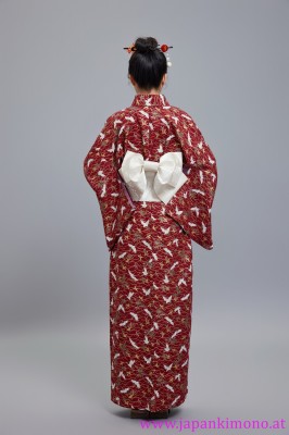 Kimono 6533XXL