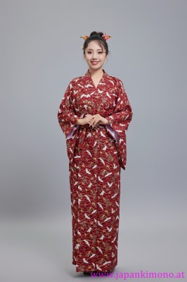 Kimono 6533XXL-XL
