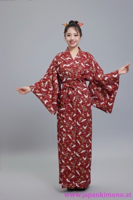 Kimono 6533XXL-L