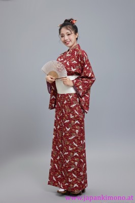 Kimono 6533XXL-XXL