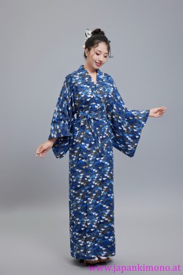 Kimono 6534XXL