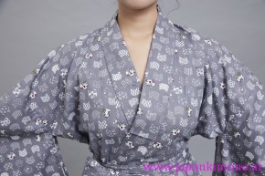 Kimono 8581