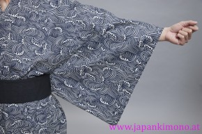 Kimono 9607