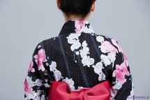 Kimono 8520