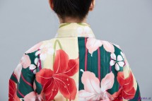 Kimono 8528
