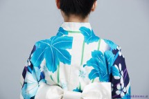 Kimono 8530
