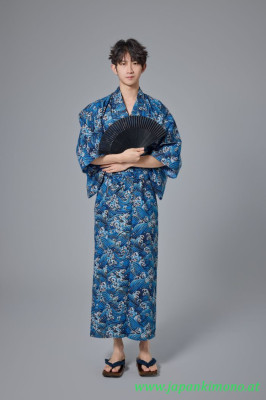 Kimono 8608