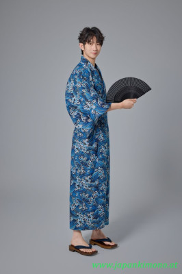 Kimono 8608