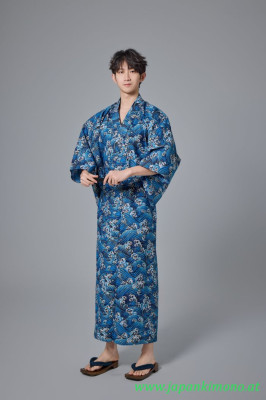 Kimono 8608