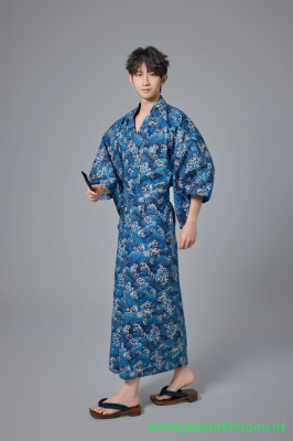 Kimono 8608