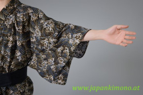 Kimono 8611