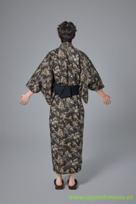 Kimono 8611