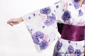 Kimono 3580
