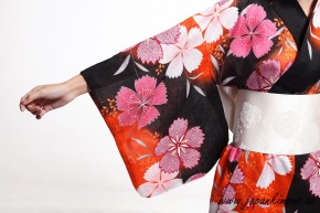 Kimono 3583