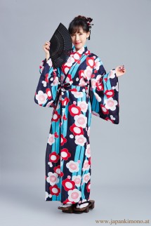 Kimono 3523