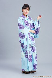 Kimono 4531