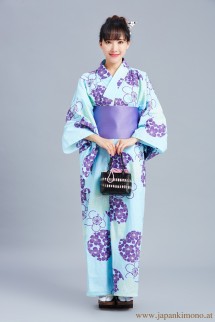 Kimono 4531