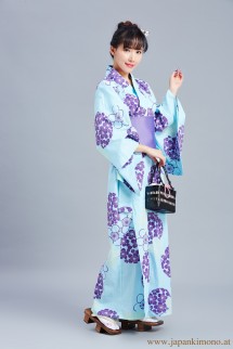 Kimono 4531