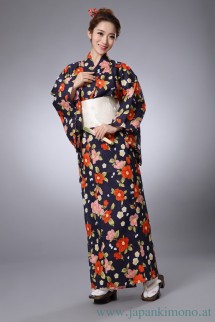 Kimono 5520