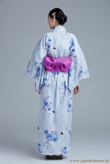 Kimono 6502