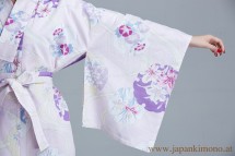 Kimono 6506