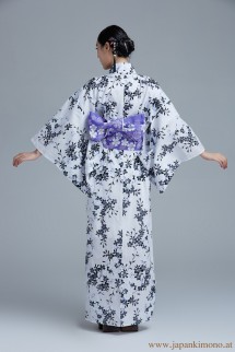 Kimono 6511