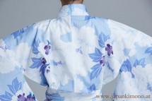 Kimono 6528