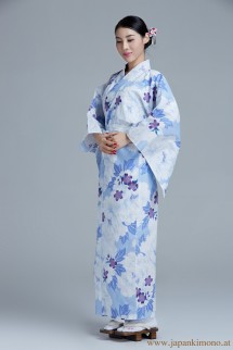 Kimono 6528