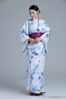 Kimono 6528