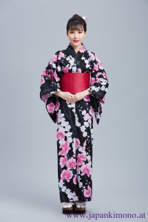 Kimono 8520