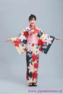 Kimono 8528