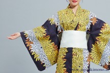 Kimono 8574