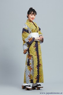 Kimono 8574