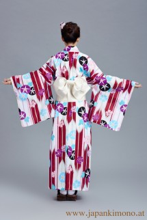 Kimono 6536XXL-XXL